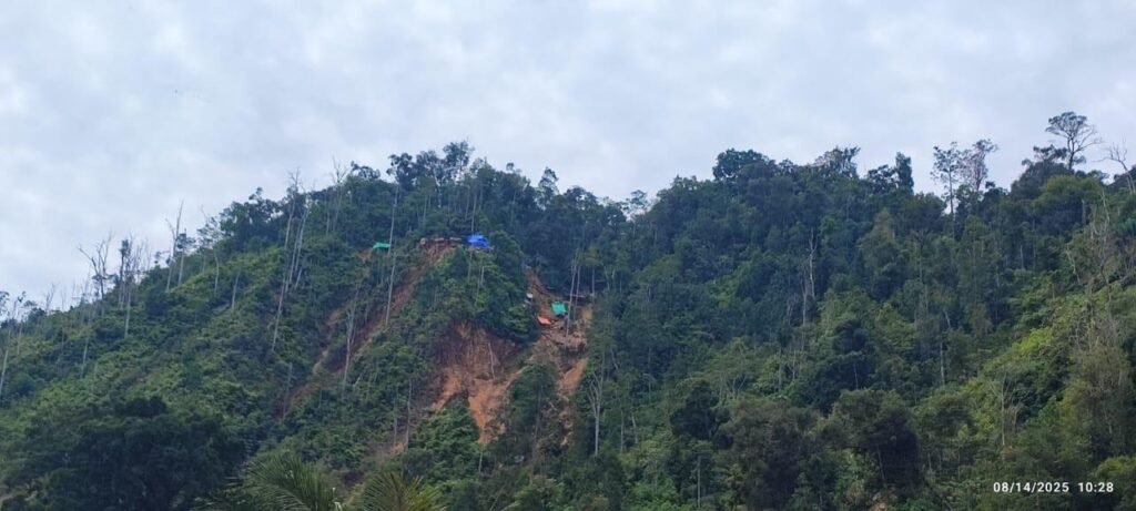 Government seizes over 300 hectares in crackdown on illegal mining operations