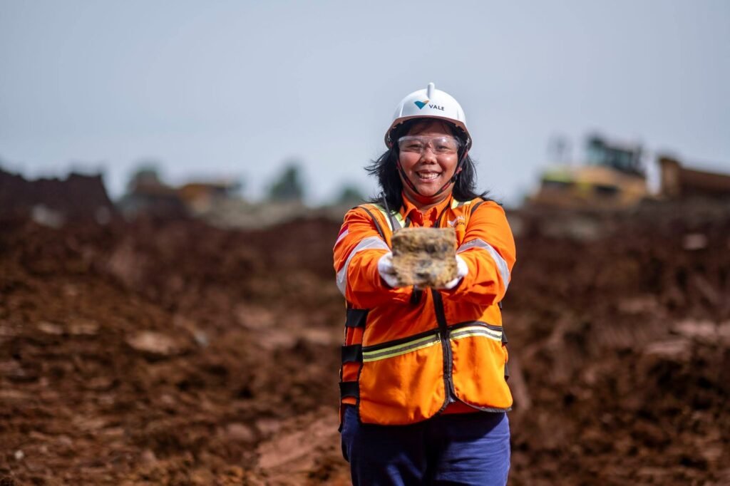 PT Vale Achieves 25% Progress on Sorowako Limonite Project